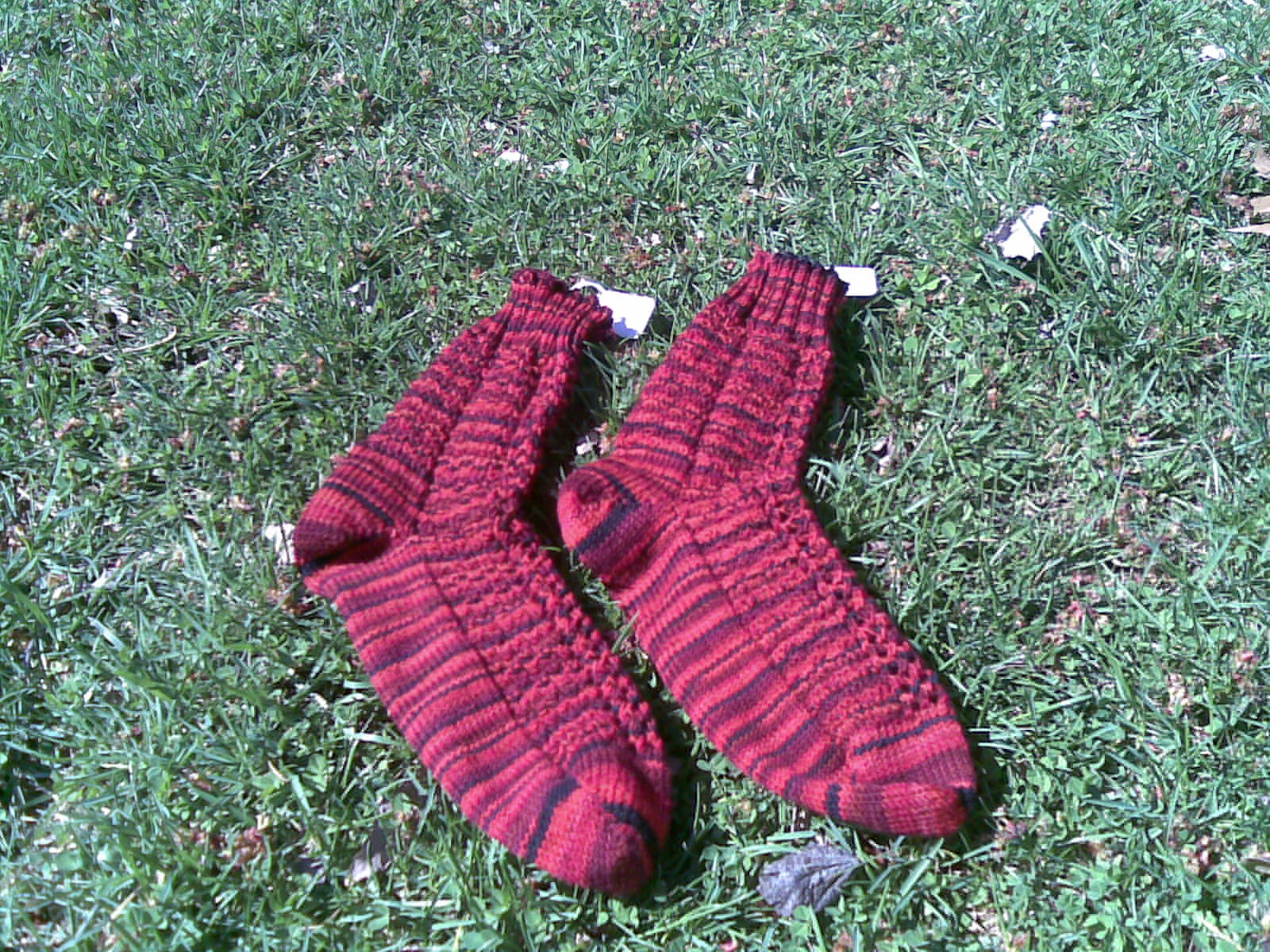Whichway Socks image 2